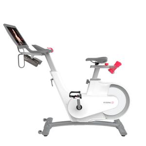Купить Велотренажер Yesoul BV1-W PLUS в Жиздре 